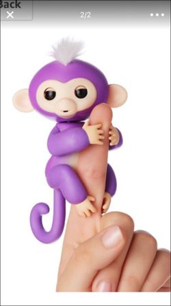Mia fingerling monkey