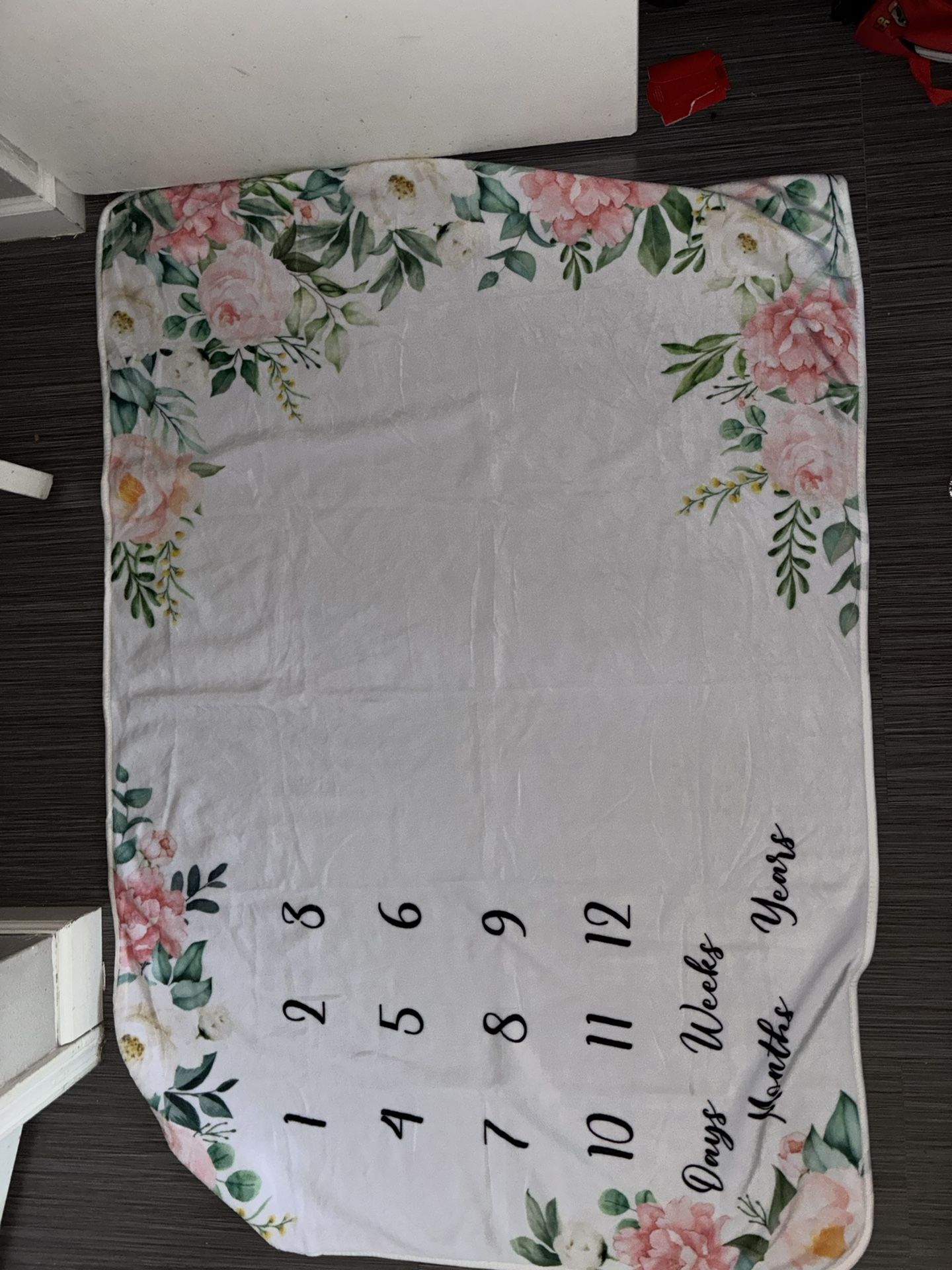 Baby Milestone Blanket