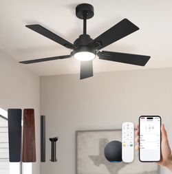 42”Ceiling Fan w/ LED Light 6 Speed Remote