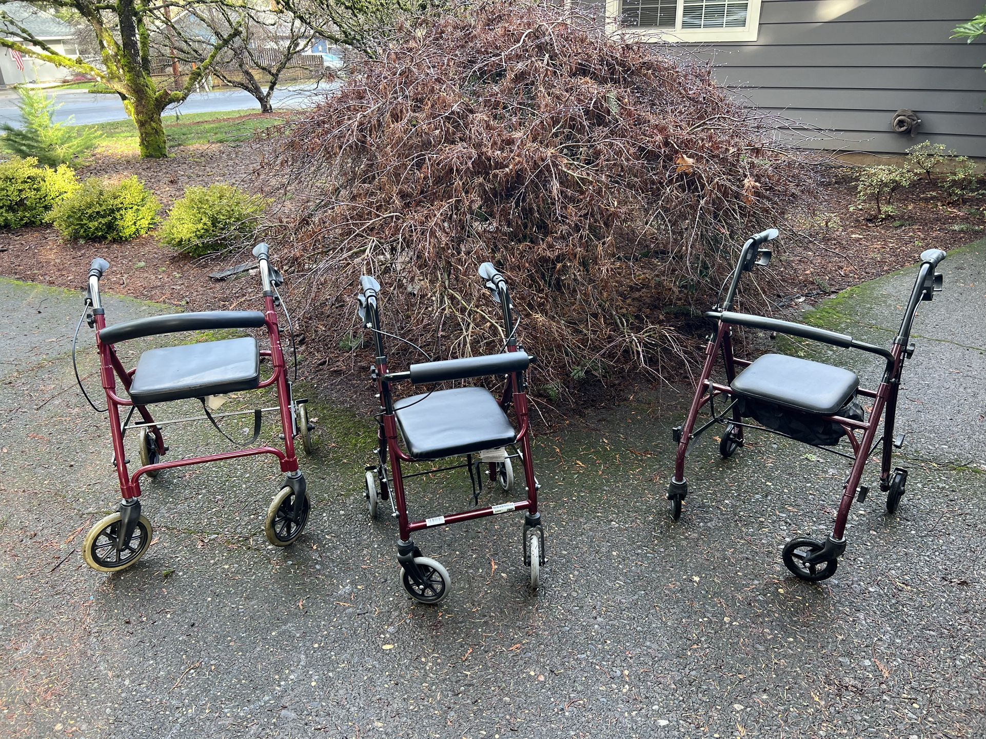Rolling Walkers