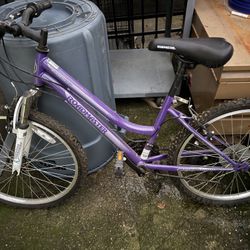 24” Girls Mountain Bike