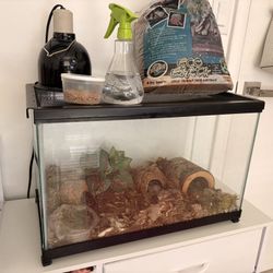 Leopard Gecko Cage With EVERYTHING included