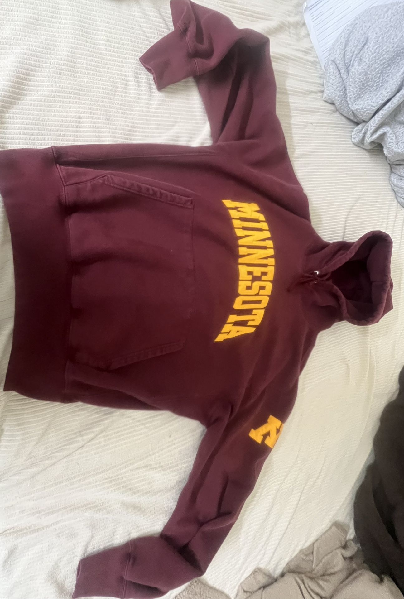 Minesota Hoodie