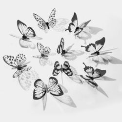 9 3D Wall Butterflies