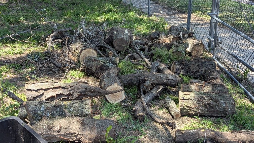 Free Fire Wood