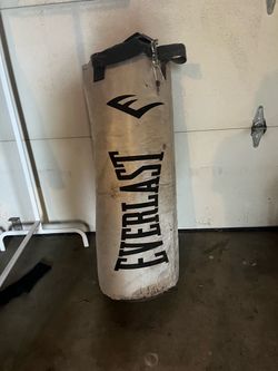 Everlast Punching Bag