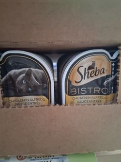 Sheba Bistro Wet Cat Food