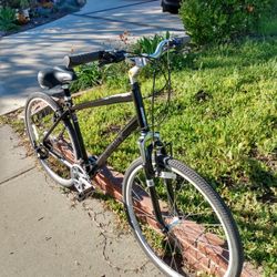 Diamondback Edgewood, Just Tuned Up