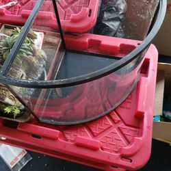 5 Gallon Fish Tank +accessories 