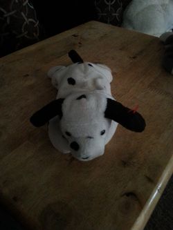 Small Dalmatian beanie dog