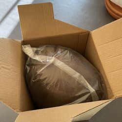 Male Mannequin Head With Human Hair For Practice