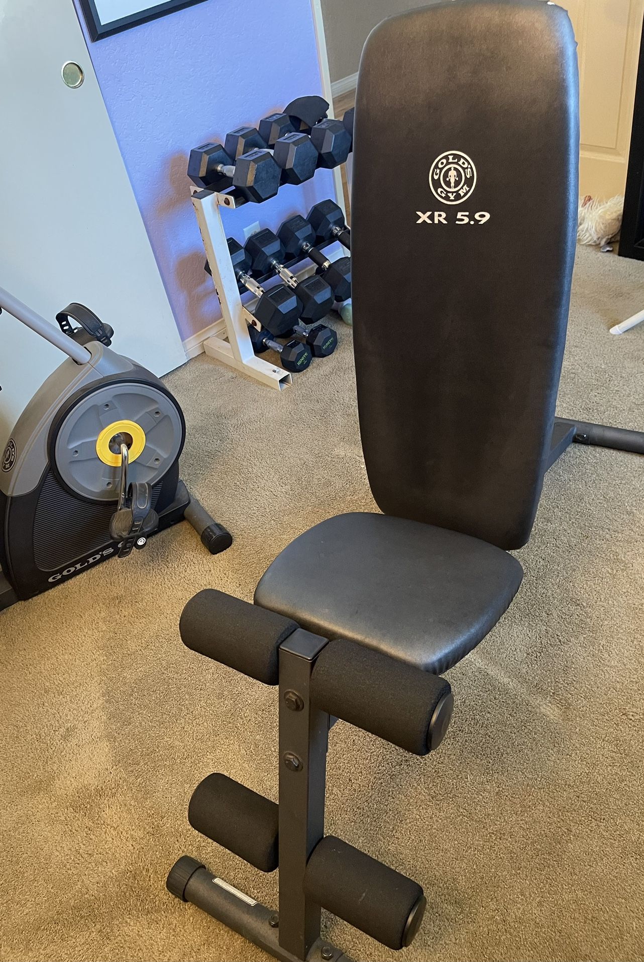 Heavy Duty Weight Bench - Gold’s Gym