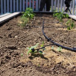 Drip Irrigation System / Sprinker 