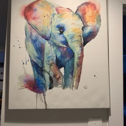 Elephant Picture 