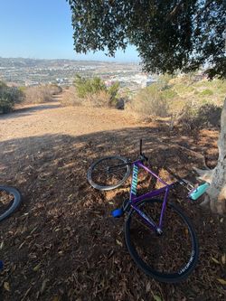 Unknown fixie