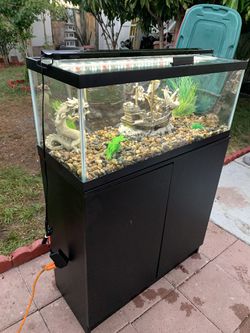 20 Gallon Long Fish Tank / 20 Gallon Long Fish Tank Set Up for Sale in Long  Beach, CA - OfferUp