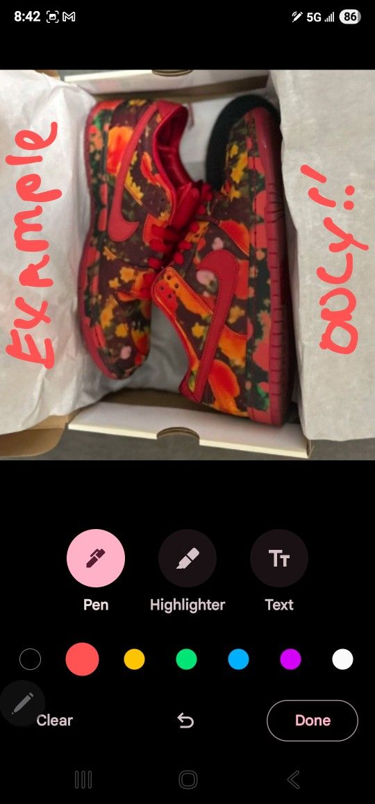 Nike SB Dunk Wizard Of Oz Poppy Fields