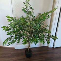 Potted Tree From Hobby Lobby
