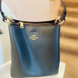 Mini Black Coach Shoulder Bag