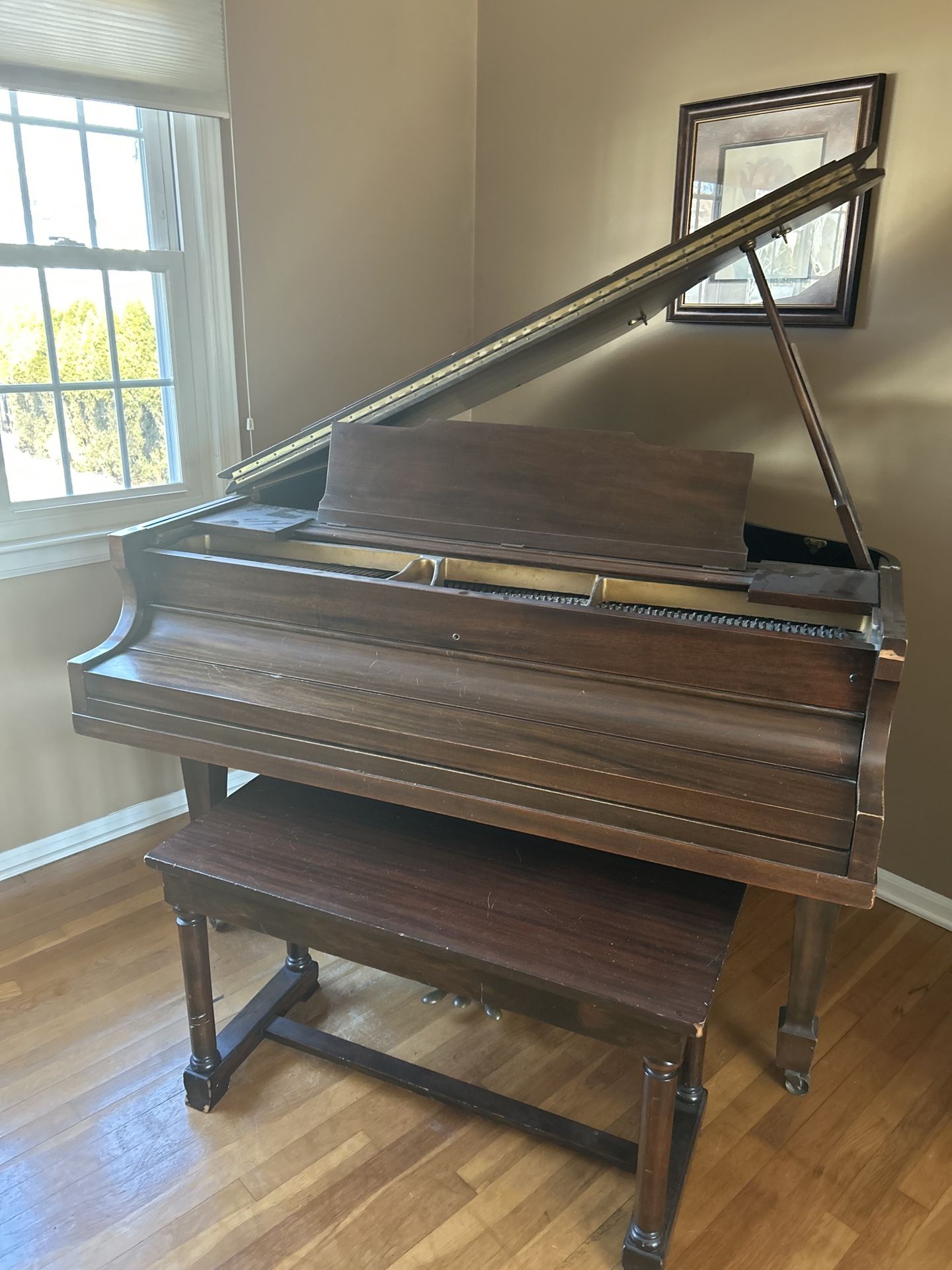 Grand Piano 