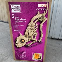 5 ft. Long Grave & Bones LED Skelly's Cat H21