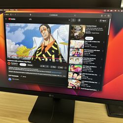 Lg Monitor (New)