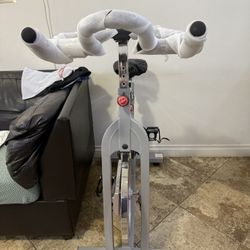 Sunny Exercise Bike