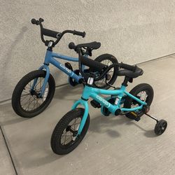 REI Kids Bike