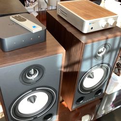 Triangle speakers, ps audio amplifier, Sony turntable, WiiM pro stream, Def Tech Subwoofer