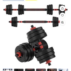 Weights + Weight Bench