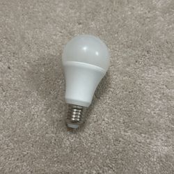 Color Changing Lightbulb
