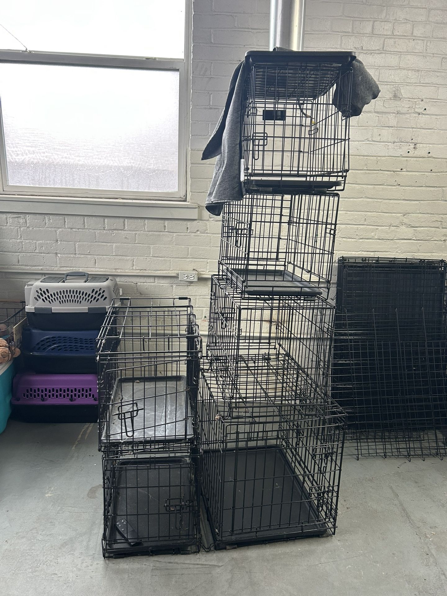 Dog Kennel