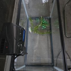 Fish tank Dimensions 20L x 10W x 12"H