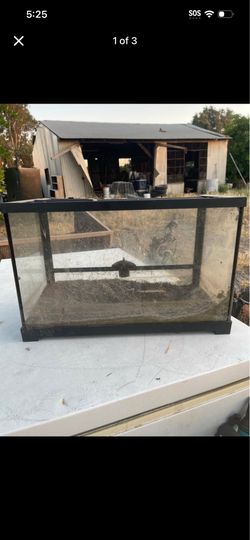 Terrarium tank” for lizards”