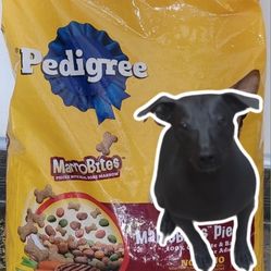 Comida Para Alebrijes Xoloitzcuintle 