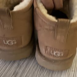 Ugg boots classic short tan
