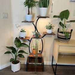 Plant Stand