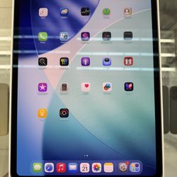 iPad Pro 13 Inch M4 256 GB Wife + Cellular 