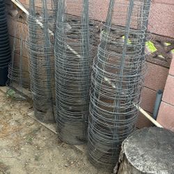 Plant Holder