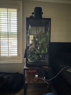Large Tall Glass Reptile Terrarium Enclosure