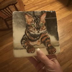  Cat Rock Hand painted 