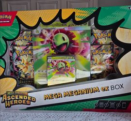 Ascended Heroes Meganium Ex