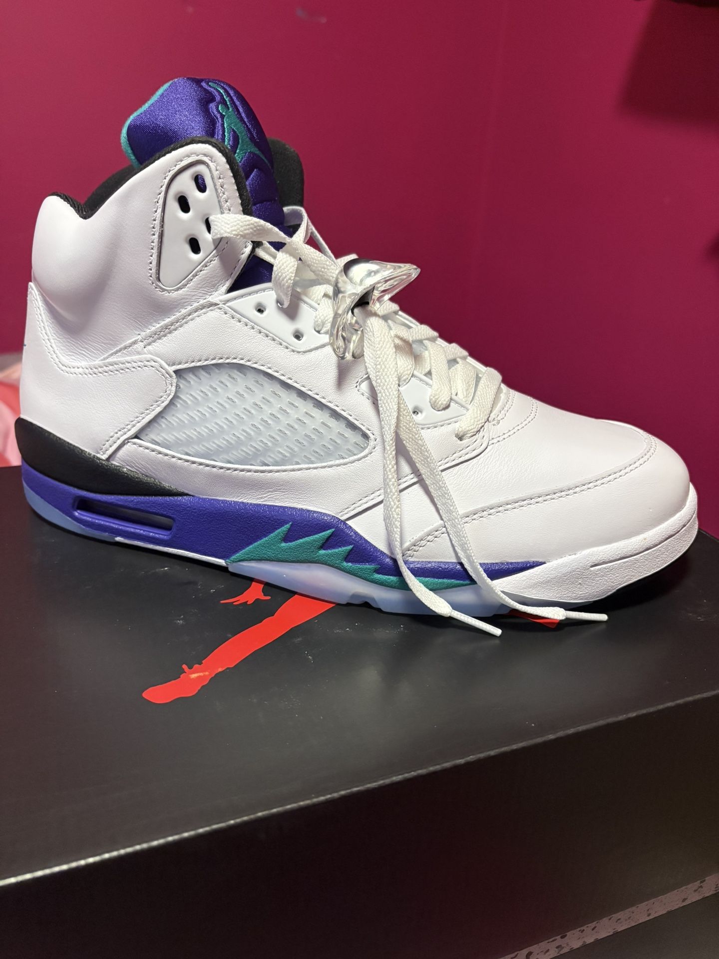 Brand New Jordan 5s Grapes Size 12Mens $230