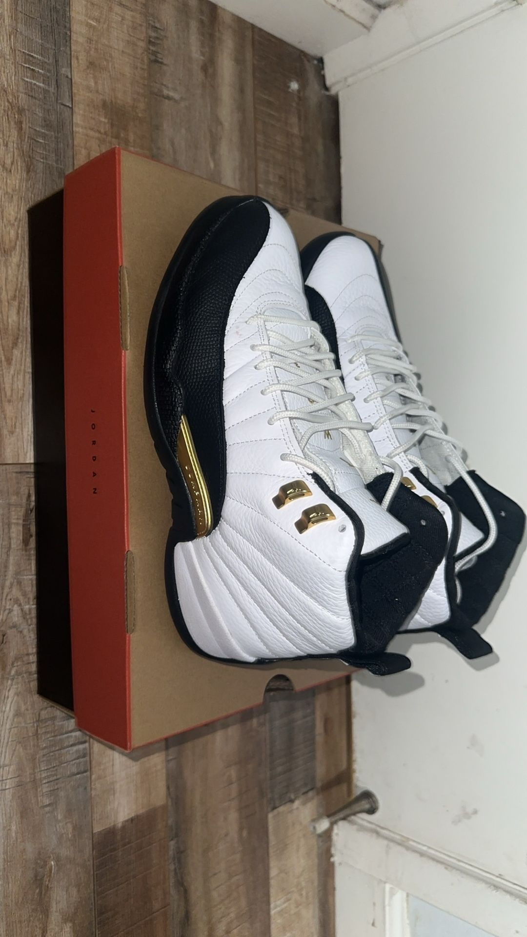 Jordan 12 Size 9.5