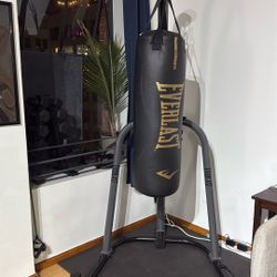 Punching  Bag setup