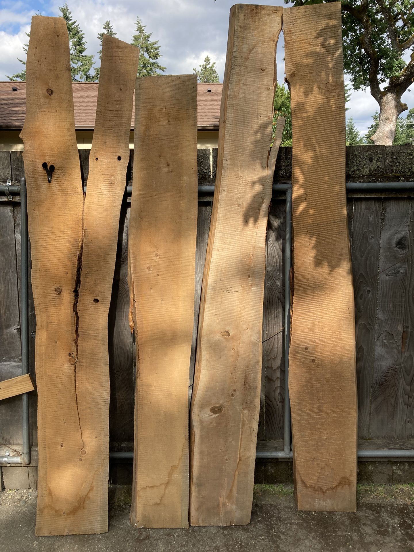 Chinese Fir Slabs (Cypress That Smells Like cloves)