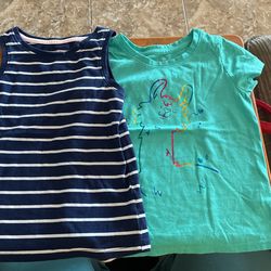 Toddler Girl 4t