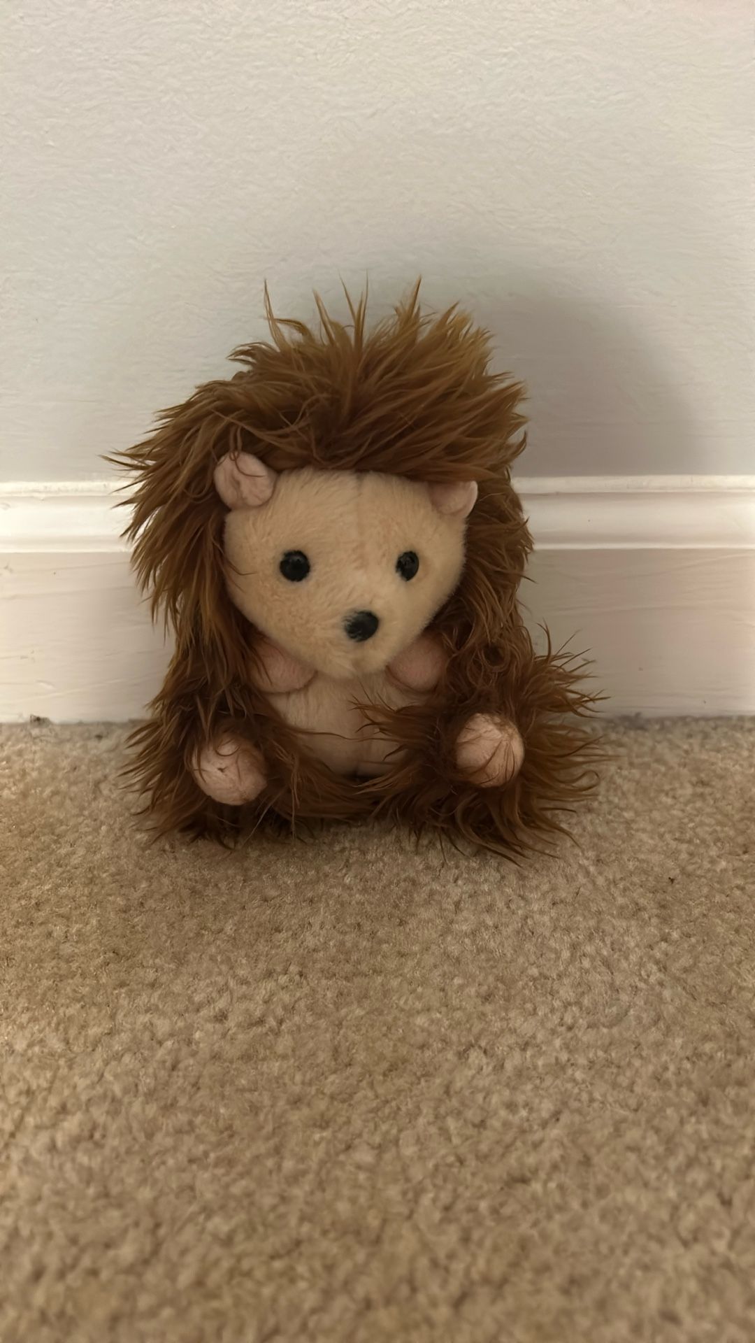 Hairy Hedgehog