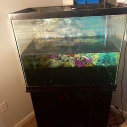 40 Gallon Fish Tank With Stand