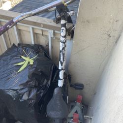 Sunday Bike  Napa Ca 